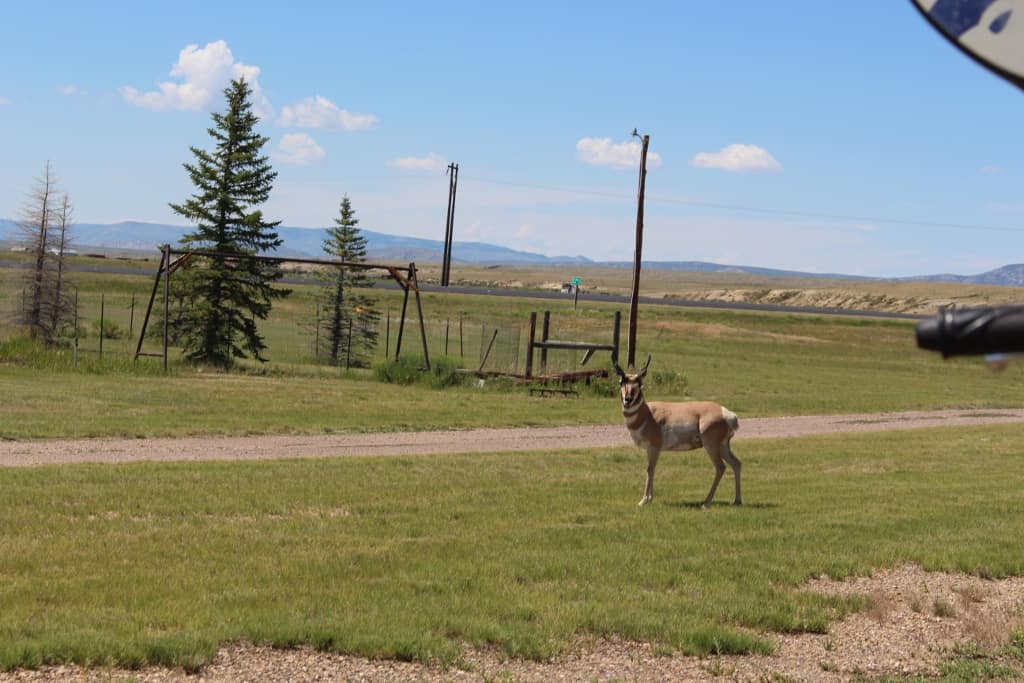 You are currently viewing July23 Casper to Medicine Bow, WY – 83 Miles